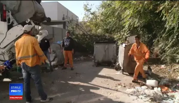 Orașul din România invadat de șobolani: „Sunt ca la nuntă, alai. Dansează, fac ce vor ei”