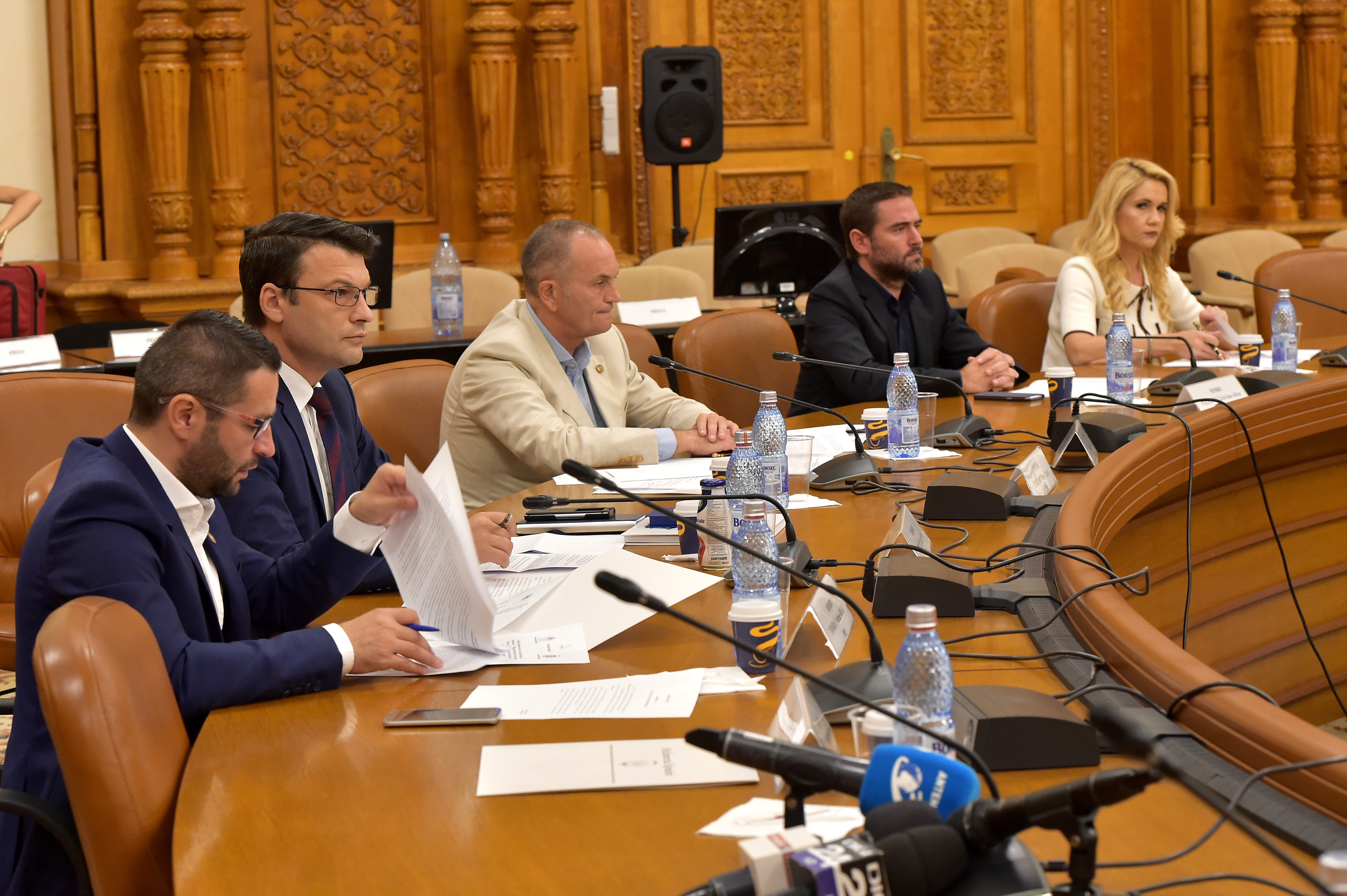 Noi audieri în Comisia de anchetă privind SPP