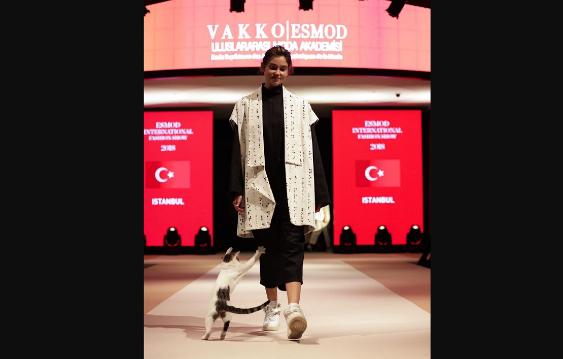 O pisică a devenit celebră după ce a defilat pe catwalk şi a atacat fotomodelele