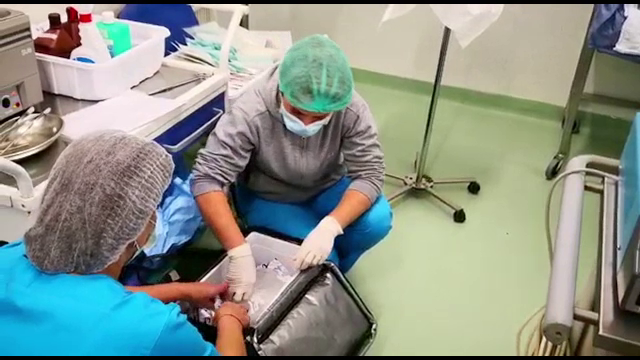 Părinţii unui tânăr au fost de acord să doneze organele fiului. Gestul lor a salvat 8 vieţi