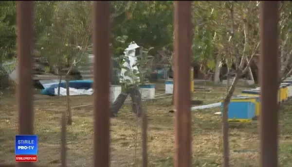 Românul care a fost anunțat la telefon că a murit. Vecin: ”Ioane, și acum ce faci?”