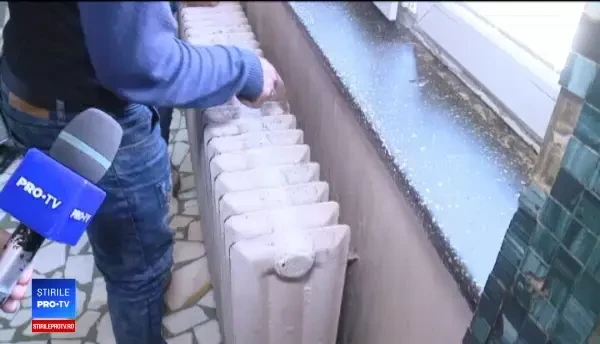 Părinţii luptă cu gândacii la un spital din Craiova. "Vin cu o boală şi pleacă cu 10"