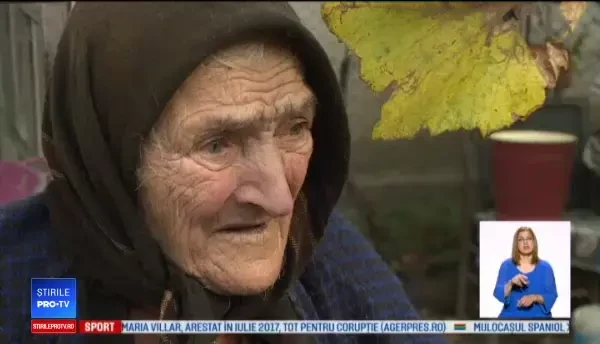 Sătenii din Giurgiu disperați că pesta îi lasă fără carne de Crăciun: "Să mă împuște pe mine, să-mi lase porcii”