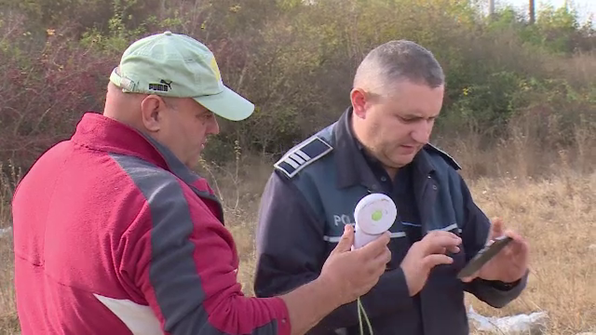 Leșuri de cai găsite lângă Arad. Descoperirea alarmantă a autorităților