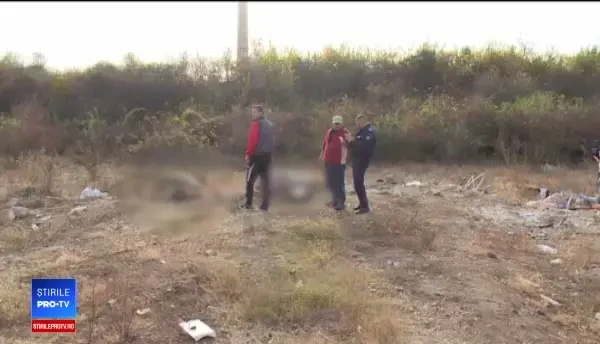 Leșuri de cai găsite lângă Arad. Descoperirea alarmantă a autorităților