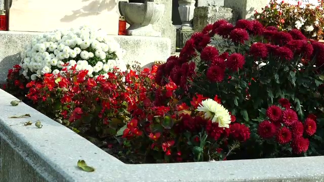 Incident şocant în cimitirul din localitatea Gârbău. O piatră funerară a căzut în capul unui copil