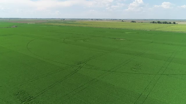 Cum am ajuns să dăm materie primă şi să importăm hrană procesată de milioane de euro