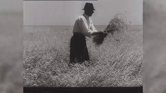 Agricultura la Centenar, partea I