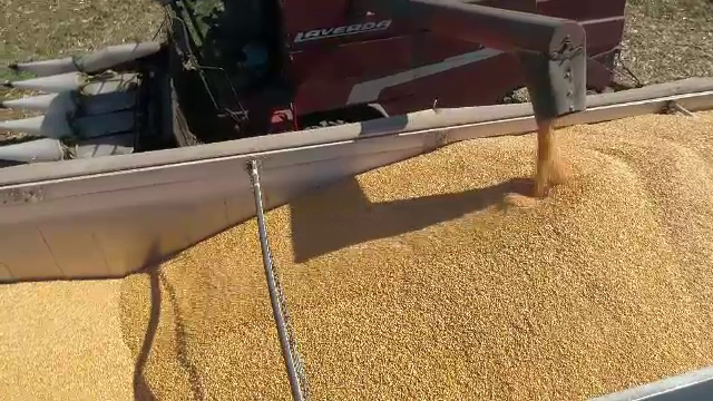 Agricultura la Centenar, II