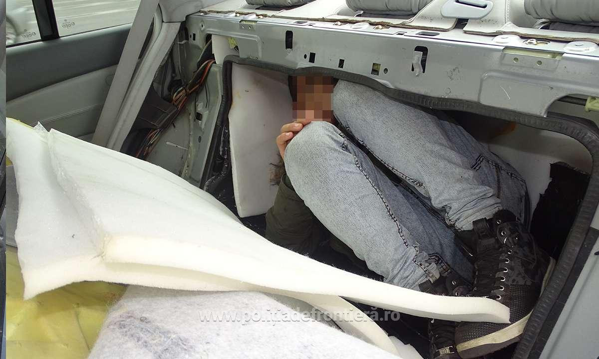 sitrian in portbagaj