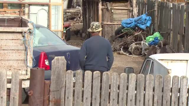 Un nou județ lovit de pestă. Unui fost inginer i-au murit porcii peste noapte