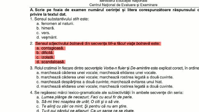 Profesorii demonstrează, cu exemple, cât de ”absurde” sunt modelele testelor grilă