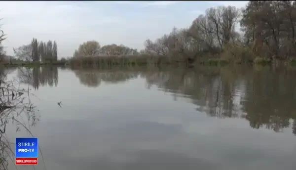 O organizaţie din Târgu Mureş are o idee inedită. Planul pentru salvarea plantelor şi peştilor din Râul Mureş