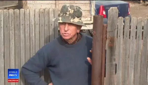 Un nou județ lovit de pestă. Unui fost inginer i-au murit porcii peste noapte