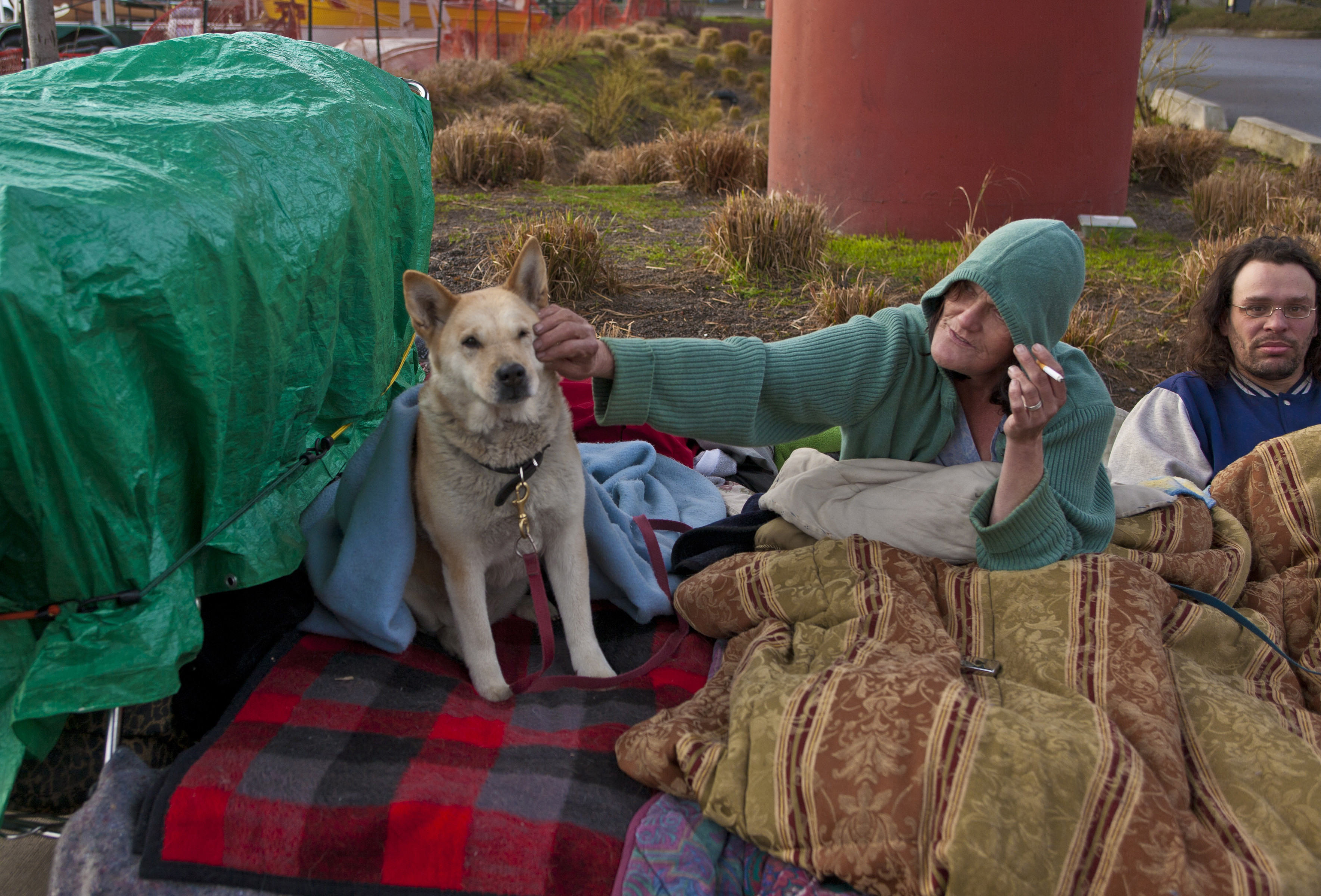 Guvernul a aprobat strategia pe cinci ani pentru incluziunea persoanelor fără adăpost din România. Ce prevede documentul