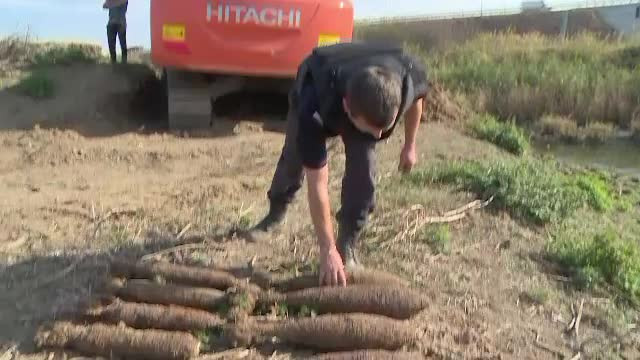 Zeci de bombe găsite în Arad. Muncitor: "Nu mi-e frică, dacă e să mor, mor şi aşa"