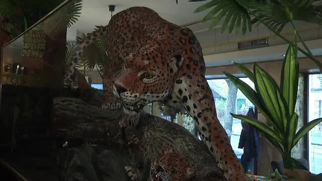 Ţara unde s-a deschis muzeul statuilor de ciocolată. "Copiii încearcă să le lingă"