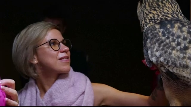 Locul în care turiștii pot mângâia bufnițe în timp ce își beau cafeaua