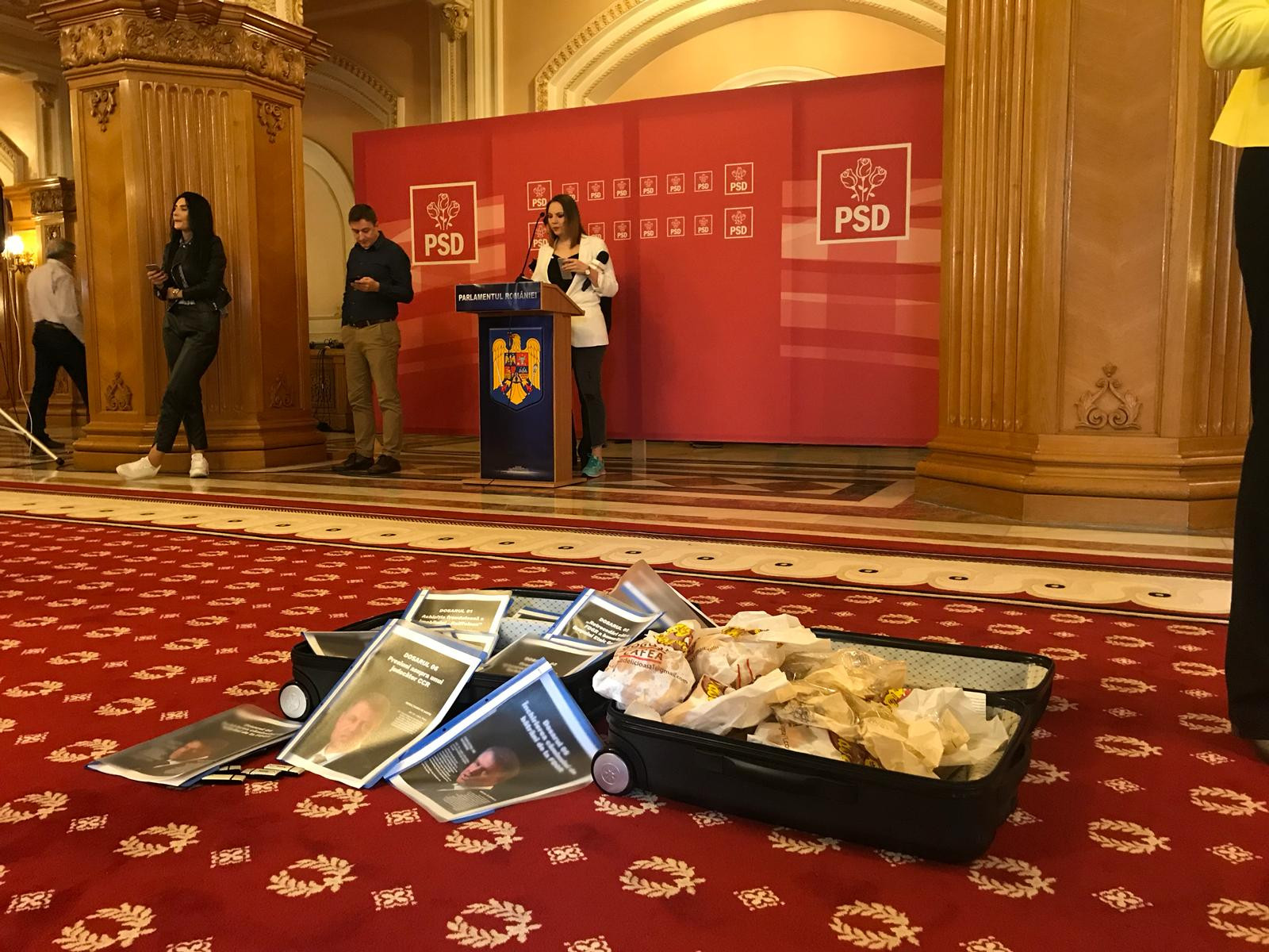 valiza gogosi, dosare