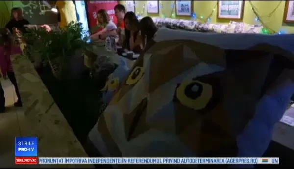 Locul în care turiștii pot mângâia bufnițe în timp ce își beau cafeaua