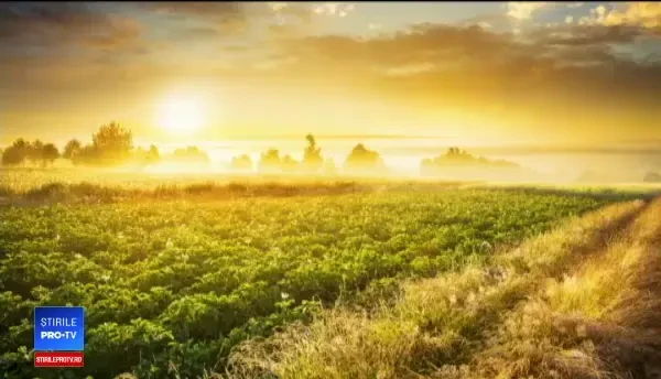 Aplicația care depistează telemeaua de Sibiu falsificată. Câte produse autentice sunt de fapt într-o piață