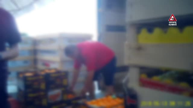 Afacerea falselor produse românești. Cum devin autohtone peste noapte legume și fructe de import