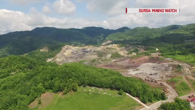 Pădure din Hunedoara, în pericol să dispară. Ce ar putea apărea pe o suprafață de 100 de terenuri de fotbal