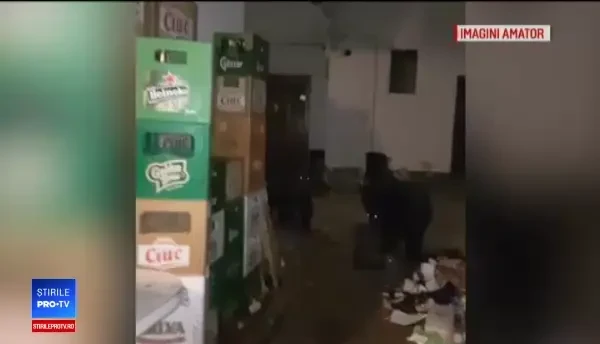 Urşii din Râşnov, dependenţi de chiflele de la pensiuni. "Vin seară de seară"