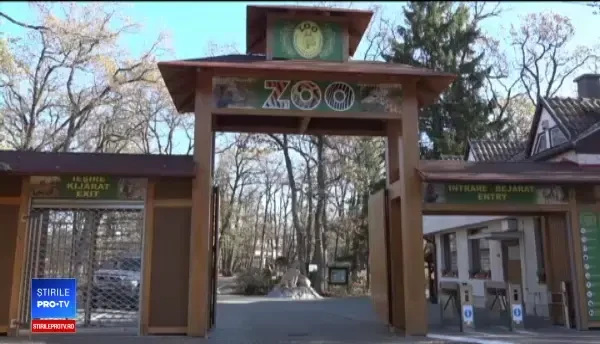 Grădina zoologică din Târgu Mureș a primit animale din Olanda. Ce se pot vedea în premieră