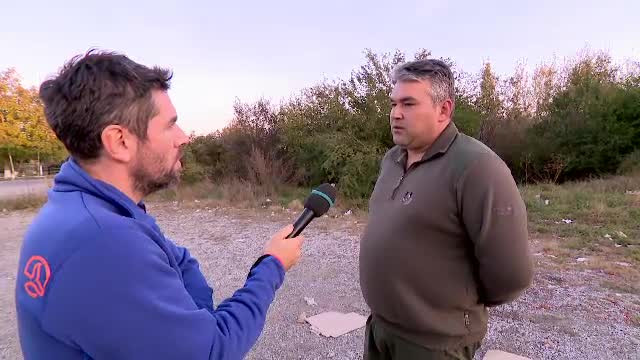 Cum să cobori din pădure 1.000 de camioane cu lemn tăiat ilegal şi să nu te vadă nimeni