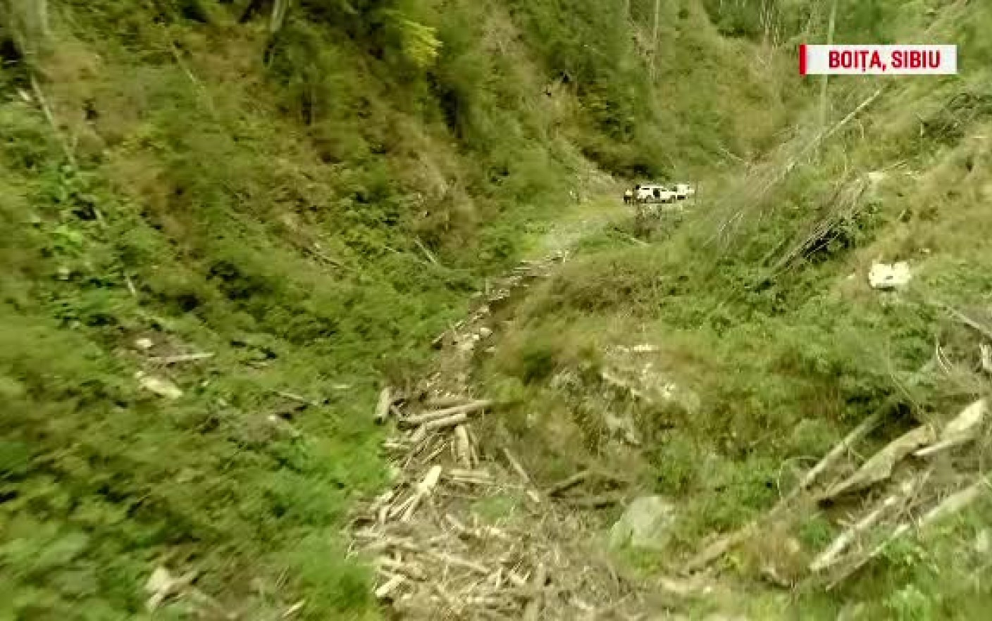 Cum să cobori din pădure 1.000 de camioane cu lemn tăiat ilegal şi să nu te vadă nimeni