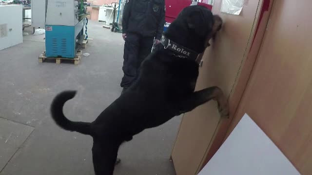 Cine este inamicul nr. 1 al deținuților din Germania. Când apare Yem, toți tremură