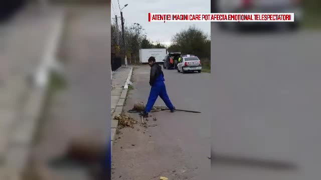 Hingheri, filmați în timp ce torturează cățeii pe care îi prind. Riscă închisoarea