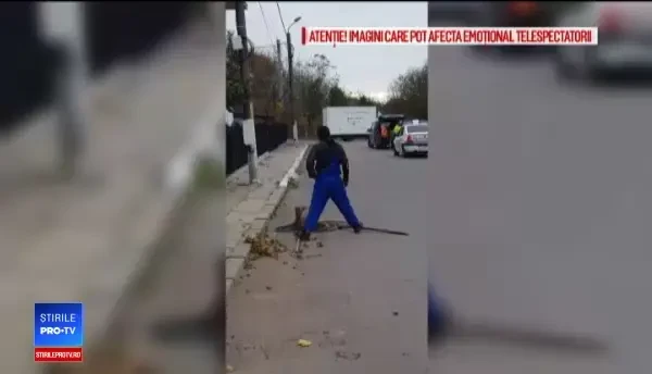 Hingheri, filmați în timp ce torturează cățeii pe care îi prind. Riscă închisoare