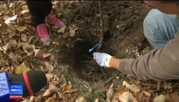 O şcoală din Ferentari a transformat 600 de mp din curte în grădină. Vor avea o sală de clasă în aer liber