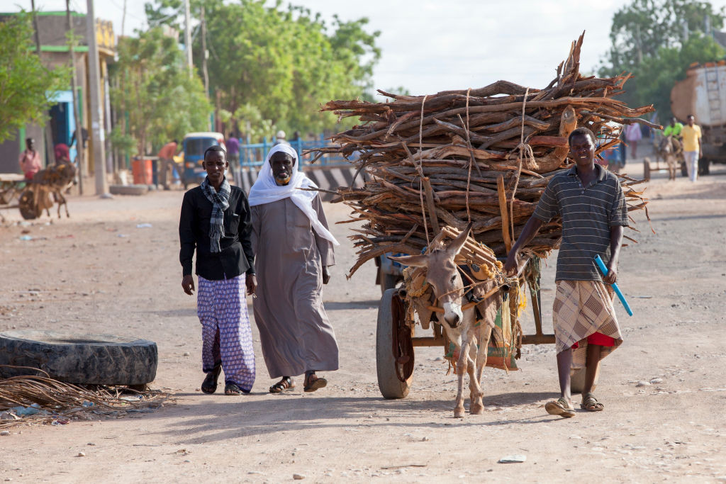 Sute de cadavre au fost descoperite într-o groapă comună