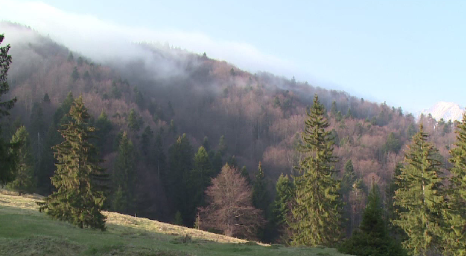 Fenomenul meteo care determină diferențele enorme de temperatură dintre zi și noapte din România