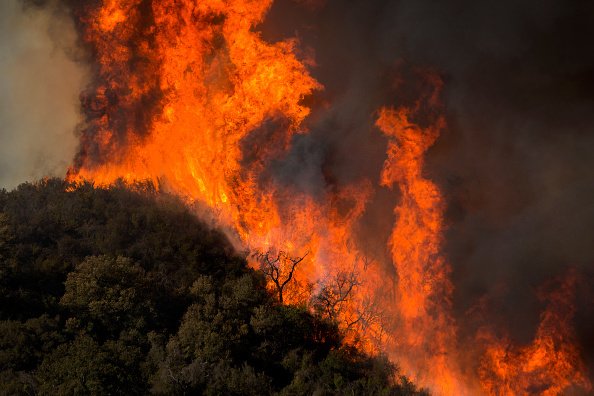 incendii malibu - 5