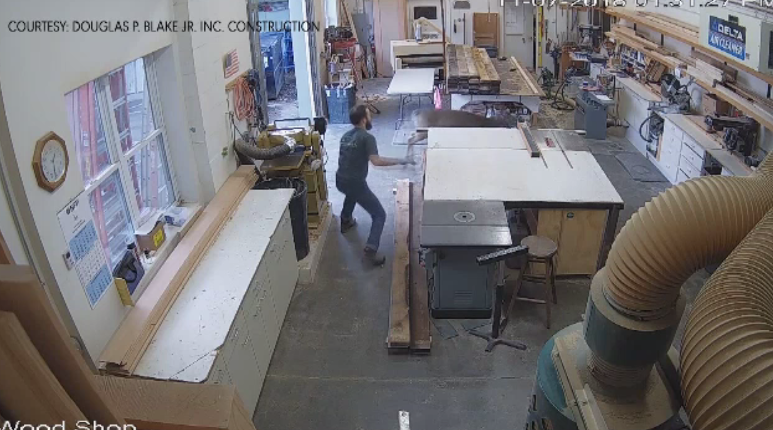 Căprioarele au început să se apropie de locuințele oamenilor și să atace. Explicația specialiștilor