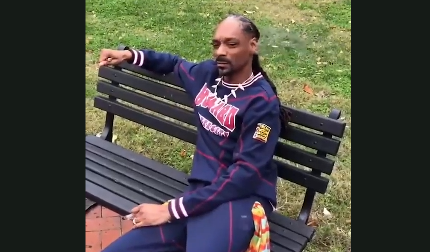 Snoop Dogg îl sâcâie pe Donald Trump chiar la el acasă. Ce a făcut în fața Casei Albe. VIDEO