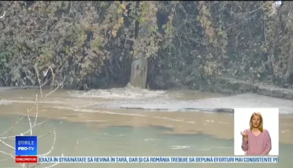 Imagini revoltătoare pe râul Mureș. Mesajul unor ecologiști care luptă să reducă poluarea