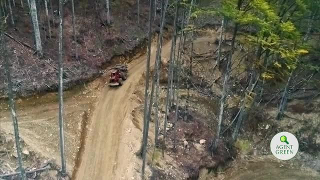Protest față de defrișări. "În centrul României va apărea un mare deşert"