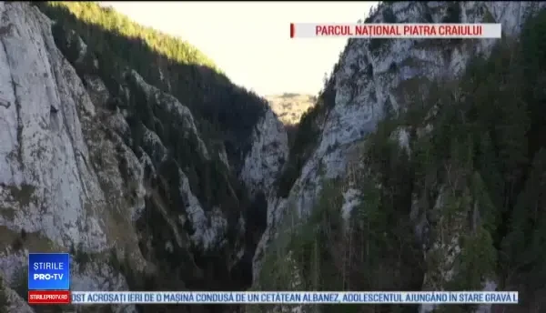 Vremea bună a atras turiștii la munte. Caprele negre și-au făcut apariția în Piatra Craiului