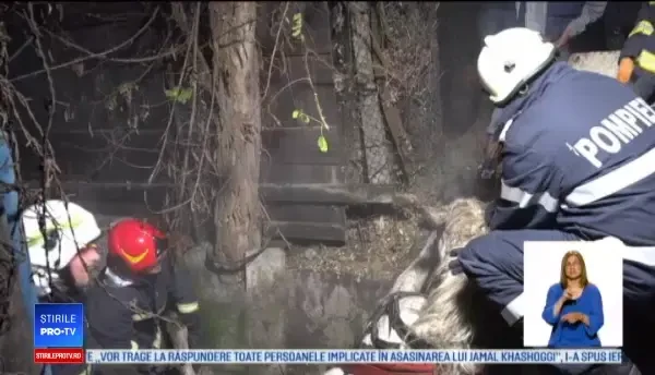 Operațiune de salvare a unui cal căzut în canal, în Mureș. Cum a ajuns animalul în această situație