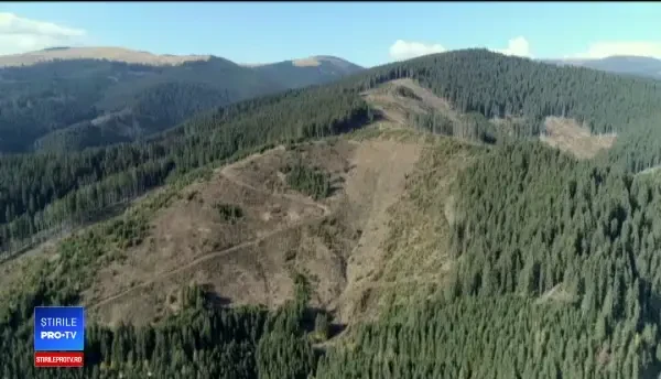 Protest față de defrișări. "În centrul României va apărea un mare deşert"