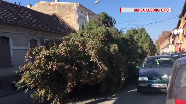 Dezastru lăsat de muncitorii care au târât un brad de Crăciun prin centrul Lugojului