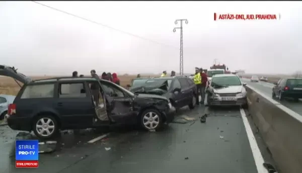Carambol pe DN1 din cauza unui câine: "Astea-s drumurile în România. Peste tot, animale"