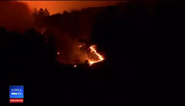 56 de morţi şi 130 de dispăruţi în incendiile din California. Mulţi au ars de vii în maşini