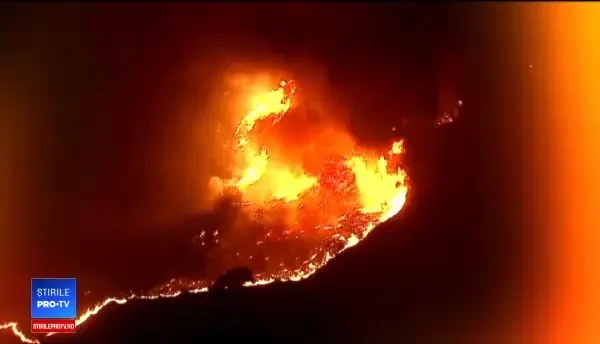 California a devenit „iadul pe pământ”. Mărturia unui român mutat în SUA