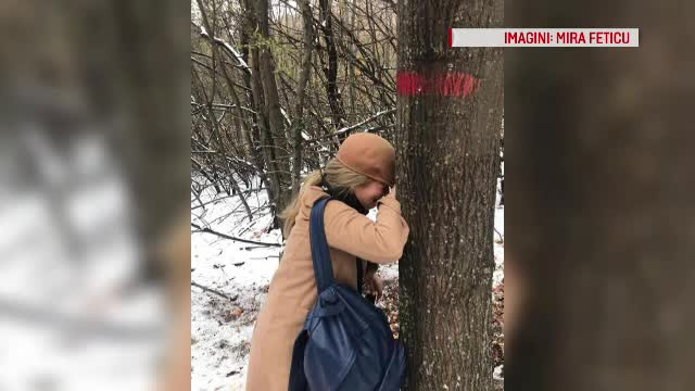 Răsturnare de situaţie în cazul tabloului de Picasso găsit în Tulcea. Ce s-ar fi întâmplat de fapt